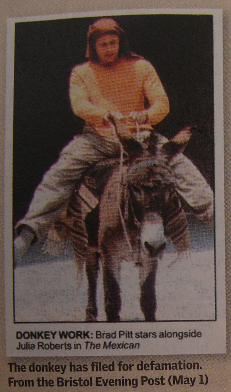 DONKEY WORK: Brad Pitt stars alongside Julia Roberts in The Mexican.