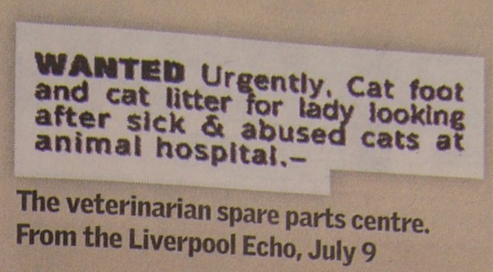Wanted urgently - Cat foot and cat litter for lady looking after sick & abused cats...