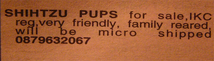 Very small dogs.